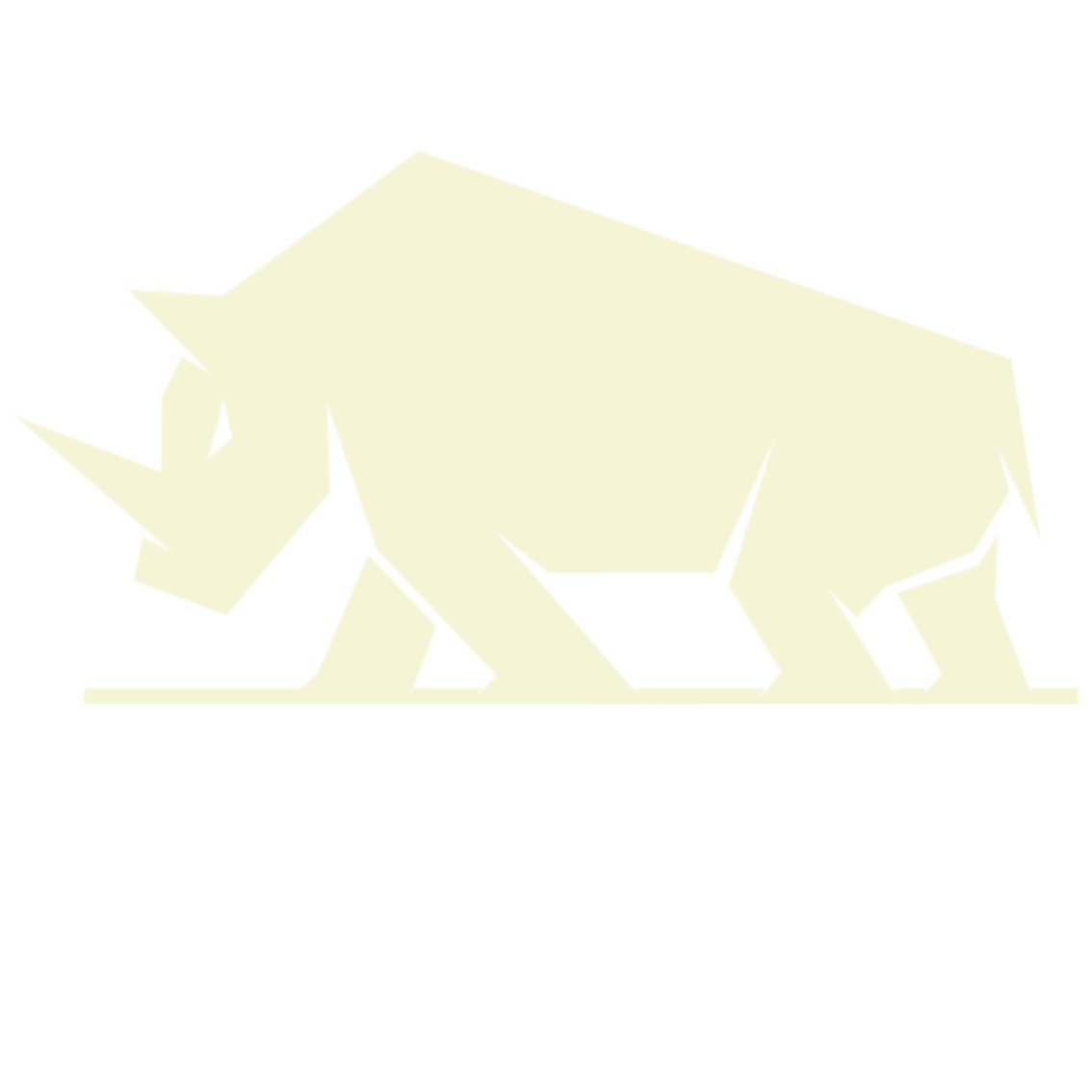 Rhino Boulder Gym